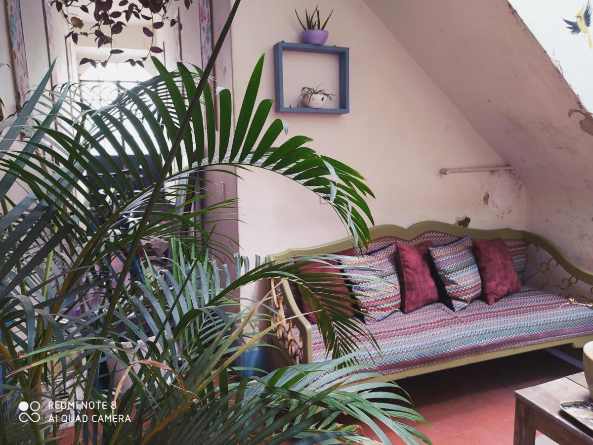 Casa Atenas (Adults Only) Гуадалахара Екстериор снимка