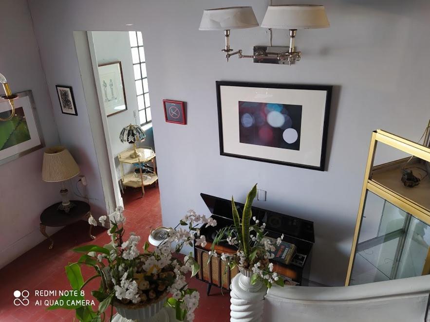 Casa Atenas (Adults Only) Гуадалахара Екстериор снимка